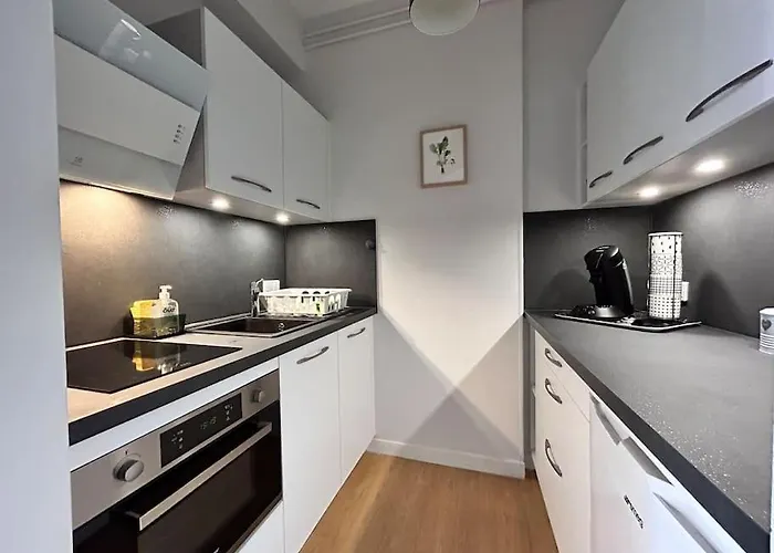 Grand T2 Cozy Avec Balcon Proche De Royatonic - 12 Rouzaud Apartament Royat